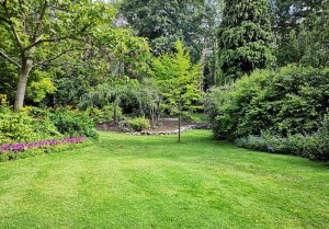 Optimiser l'expérience du jardin à Lessard-en-Bresse